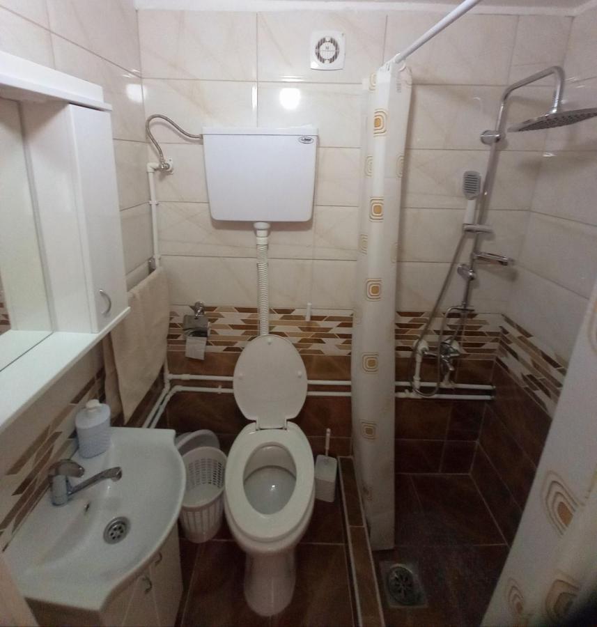 Smestaj Stanisavljevic Sokobanja Buitenkant foto