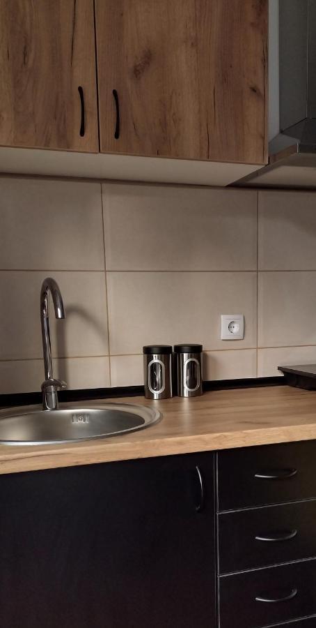 Smestaj Stanisavljevic Sokobanja Buitenkant foto