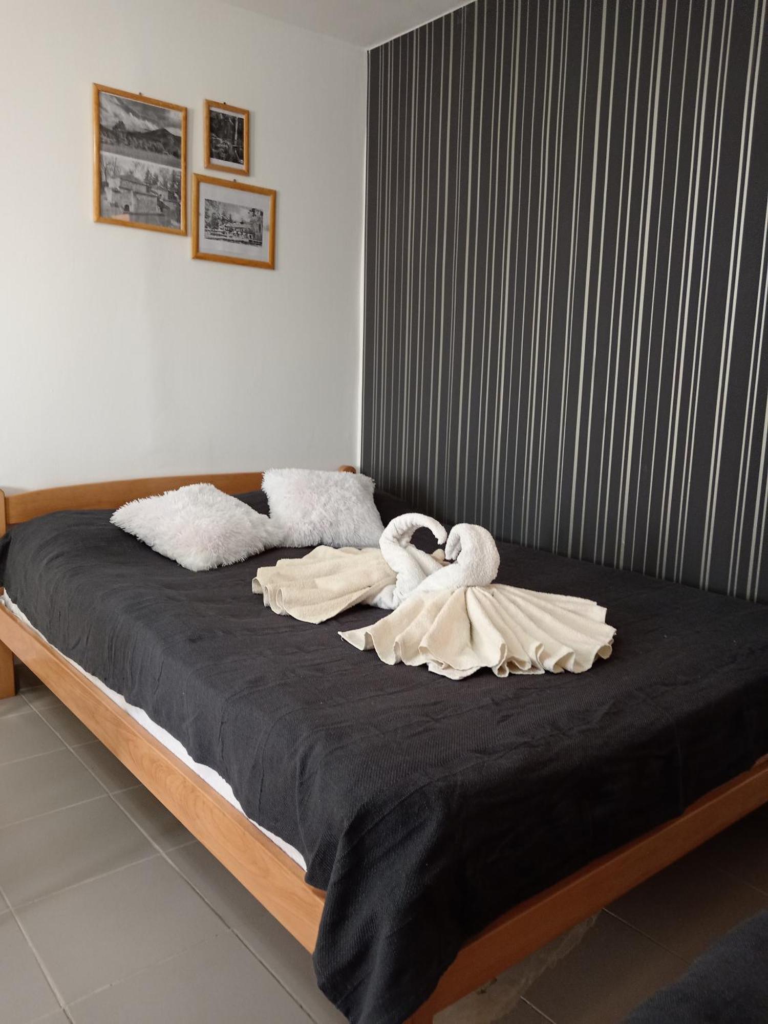 Smestaj Stanisavljevic Sokobanja Kamer foto